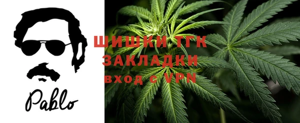 бошки Каменногорск