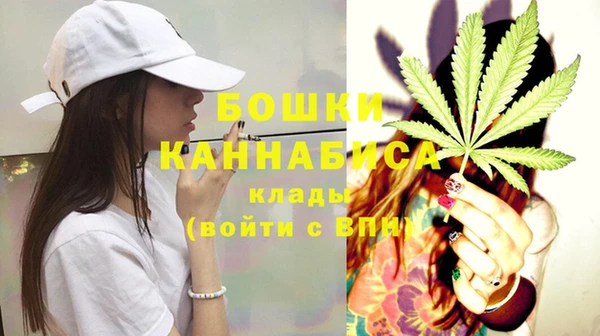 бошки Каменногорск