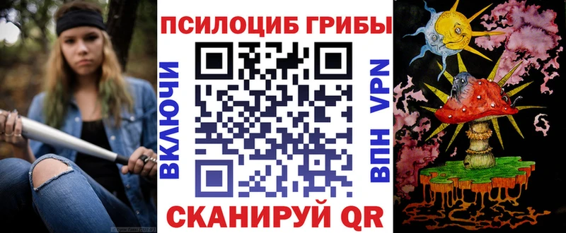 Купить закладки  Видное  Псилоцибиновые грибы Psilocybine cubensis 